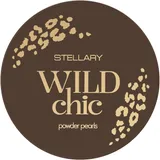 Stellary Wild Chic Işıltılı Pudra 01 Glorious Ski