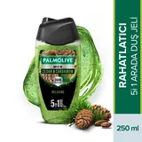 Palmolive Sedir & Kakule Kokulu Erkek Duş Jeli