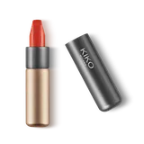 Kiko Velvet Passion Matte Lipstick 309