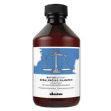 Davines NaturalTech Rebalancing Shampoo