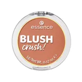 Essence Blush Crush - 20 Deep Rose