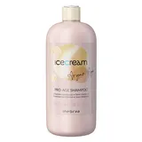 Inebrya Ice Cream Argan Age Argan Oil Shampoo 10
