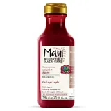 Maui Agave Nectar Güçlendirici Şampuan