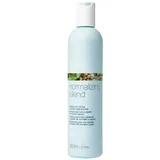 Milk Shake Normalizing Blend Shampoo