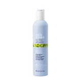Milk Shake Perfecting Shampoo