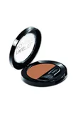 Pastel Blush-On - Allık 110
